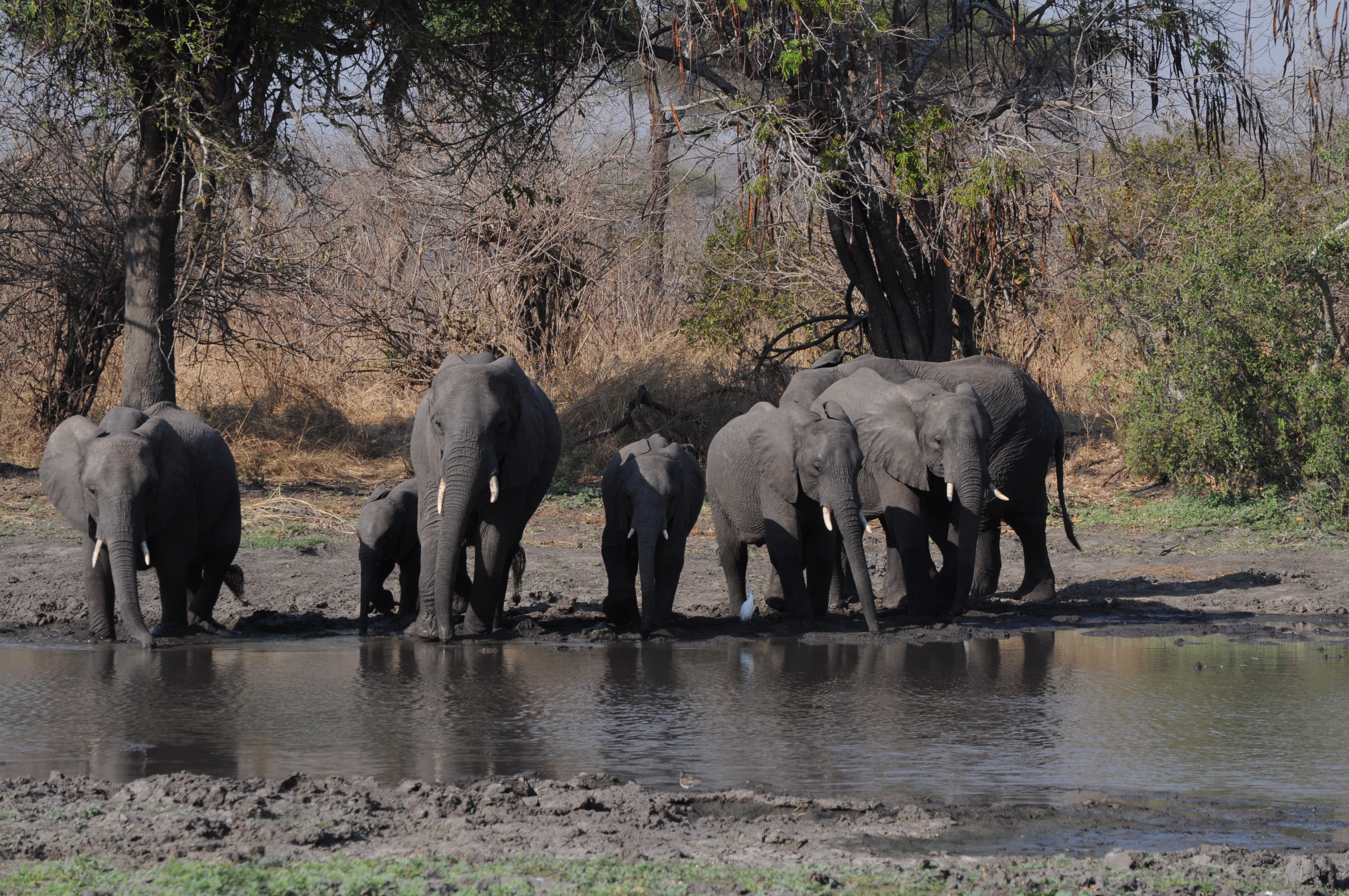 5 Days Budget Safari