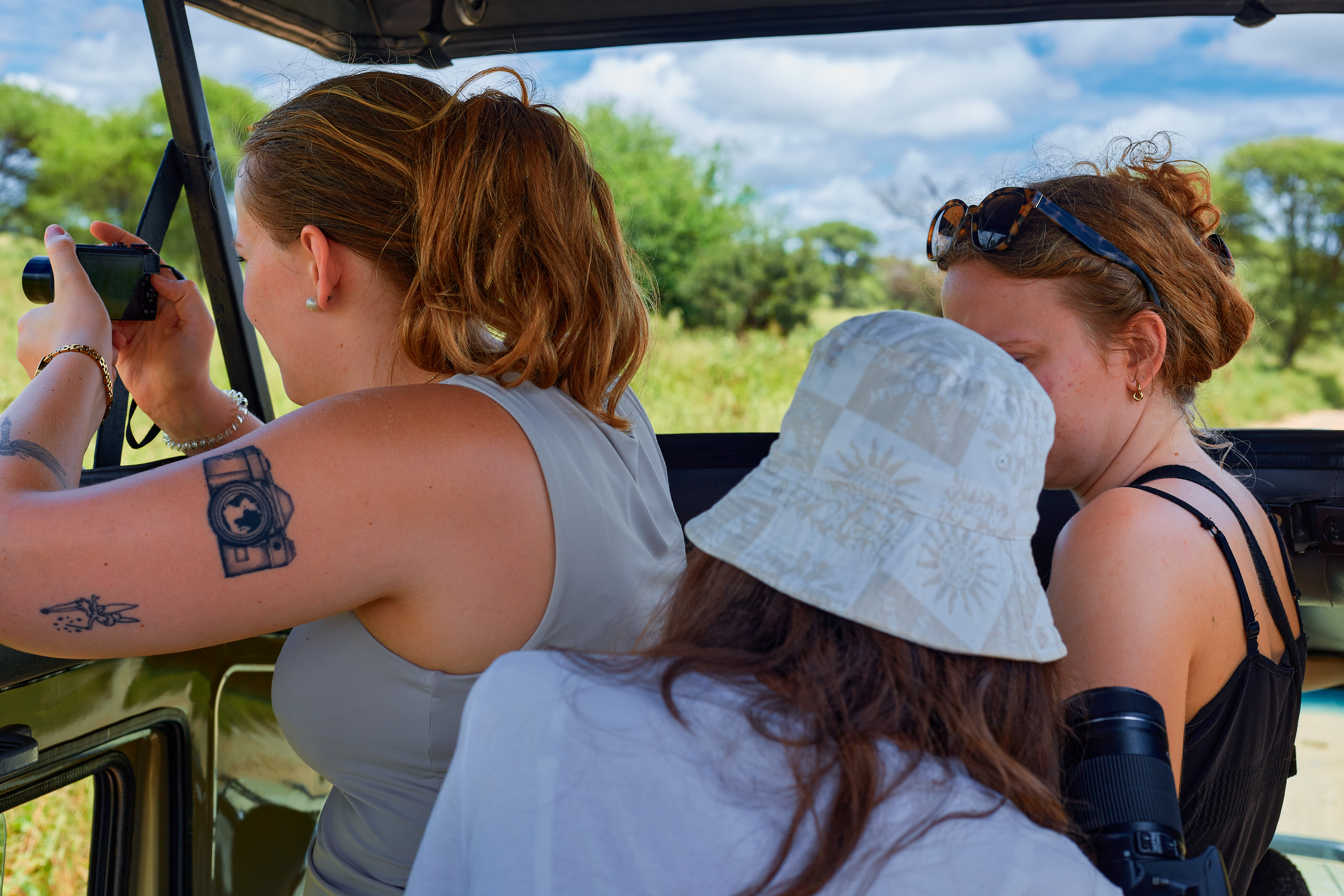 Tanzania Budget Safari 4 Days Image